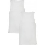 Under Armour Perf Cotton Tank-2Pk Man – Sleviste.cz