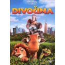 Film Divočina DVD