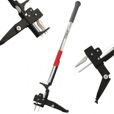 Dedra 80C090 – Zboží Dáma