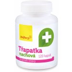 Wolfberry Třapatka extrakt 120 kapslí – Hledejceny.cz