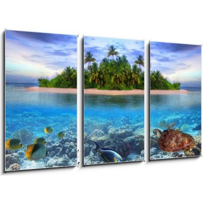 Obraz 3D třídílný - 90 x 50 cm - Marine life at tropical island of Maldives Mořský život na tropickém ostrově Maledivy – Zboží Mobilmania