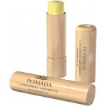 Regina pomáda s měsíčkem zahradním 4,5 g – Zboží Dáma