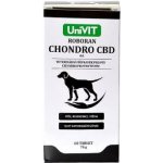 Roboran Chondro CBD 60 tbl – Hledejceny.cz