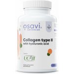 Osavi Collagen Type II with Hyaluronic Acid 60 Kapslí – Hledejceny.cz