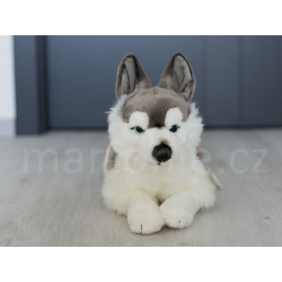 pes Husky 43 cm