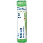 STICTA PULMONARIA POR 5CH GRA 4G – Hledejceny.cz
