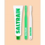 Saltrain Cestovní sada pro ústní hygienu Dental Kit Green Edition 2 x 100 g – Hledejceny.cz