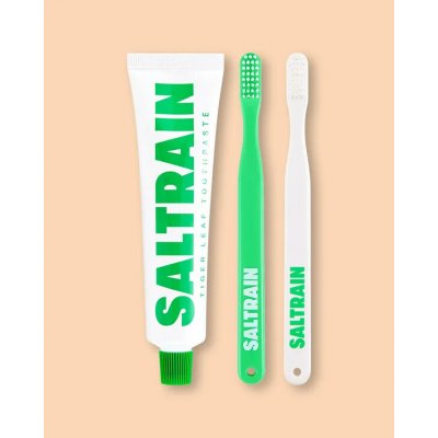 Saltrain Cestovní sada pro ústní hygienu Dental Kit Green Edition 2 x 100 g – Hledejceny.cz