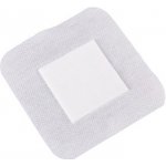 Elastpore+PAD rychloobvaz 10 x 10 cm sterilní 1 ks – Zboží Dáma
