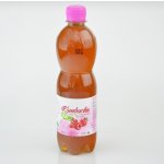 Stevikom Kombucha černý čaj Bio s malinou 0,5 l – Zboží Dáma
