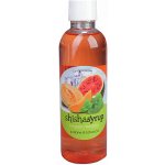 ShishaSyrup Melasa Ledová melodie 100 ml – Zboží Dáma ShishaSyrup Melasa Ledová melodie 100 ml – Zboží Dáma