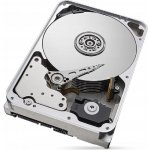 Seagate IronWolf Pro 16TB, ST16000NT001 – Zboží Živě