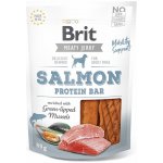 Brit Jerky Snack proteinová tyčinka s lososem 12 x 80 g – Hledejceny.cz