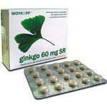 Ginkgo Comfort 60 mg SR 60 tablet – Zboží Mobilmania