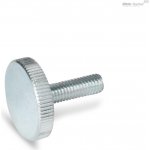 DIN 653 4x12 ZN šroub s nízkou rýhovanou hlavou, bez povrchové úpravy – Hledejceny.cz