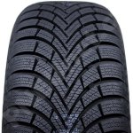 Maxxis Premitra Snow WP6 205/55 R16 94V – Hledejceny.cz