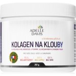 Adelle Davis Kolagen na klouby 257 g – Hledejceny.cz
