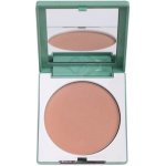 Clinique Stay Matte Sheer Pressed Powder Kompaktní pudr pro dlouhotrvající matný vzhled 3 Stay Beige 7,6 g – Zboží Dáma