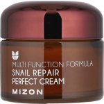 Mizon Snail Repair Perfect krém na Vrásky a Problematickou Pleť 50 ml – Sleviste.cz