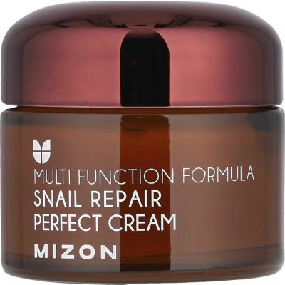 Mizon Snail Repair Perfect krém na Vrásky a Problematickou Pleť 50 ml – Sleviste.cz