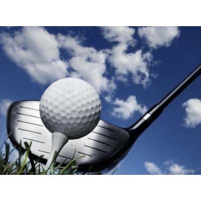 WEBLUX 16573670 Fototapeta vliesová Golf club and ball in grass Golfový klub a míč v trávě rozměry 270 x 200 cm – Zboží Mobilmania
