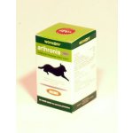 Rosen Pharma Arthronis fáze 2 Mini 60 tbl – Hledejceny.cz