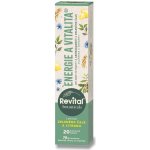Revital Botanicals Energie a vitalita 20 eff.tablet – Hledejceny.cz