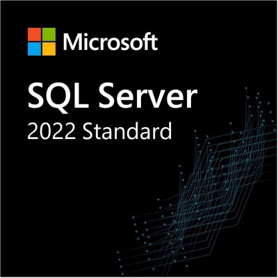 Microsoft SQL Server 2022 Standard Software DG7GMGF0M80J – Zboží Mobilmania