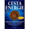 Kniha Cesta energie, Energetika a diagnostika orgánů