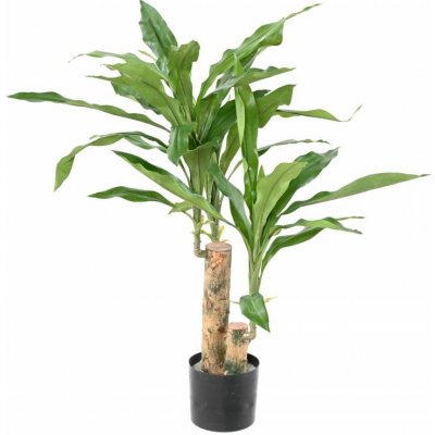 Umělá rostlina Dracena Fragrances Stud, 60cm – Zboží Mobilmania