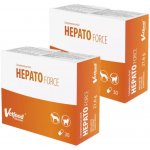 Vatfood Hepatoforce 2 x 30 kapslí – Hledejceny.cz
