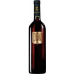 Baron de Ley Gran Reserva suché červené 2019 13,5% 0,75 l (holá láhev) – Hledejceny.cz