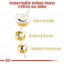 Krmivo pro psa Royal Canin Pug Adult 1,5 kg