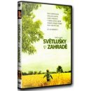 světlušky v zahradě DVD