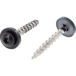 SCH Lakovaný šroub na parapet 3,9x25 Torx 15 nerez A2 / RAL Varianta: Hlavový lakovaný šroub na parapet 3,9x25 Torx 15 nerez A2 / RAL7016 – Hledejceny.cz