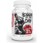Rich Piana 5% Nutrition Bigger By the Day 120 kapslí – Zboží Dáma