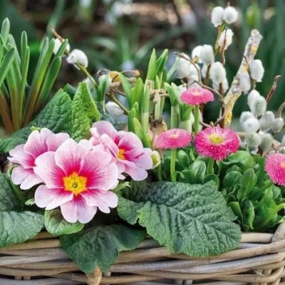 Ubrousek 33x33cm Jarní aranžmá – Sleviste.cz