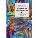 Kniha Psychedelie a psychonautika II. - Rizika užívání, spiritualita, etika a právo - Cink Vojtěch
