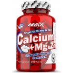 Amix Calcium + Magnesium + Zinek 100 tablet – Hledejceny.cz
