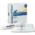 ATV Enterofilus 12 x 10 ml – Hledejceny.cz