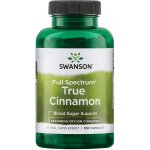 Swanson Cejlonská Skořice True Cinnamon 300 mg 120 kapslí – Hledejceny.cz