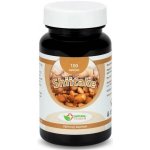 Natural Pharm Shiitake 100 tablet – Hledejceny.cz