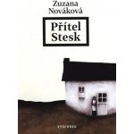 Tradičně a zdravě - Kuchařka pro diabetiky a nejen pro ně - Štechová Kateřina, Havlová Vladimíra – Hledejceny.cz