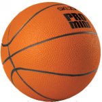 SKLZ Pro Mini Hoop Ball basketbalový mini míč 13 cm – Hledejceny.cz