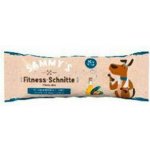 GimCat Gras Bits Tablety s kočičí trávou 40g – HobbyKompas.cz