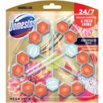 Domestos Aroma Lux Dahlia Flower & Dragonfruit tuhý WC blok 3 x 55 g – Sleviste.cz