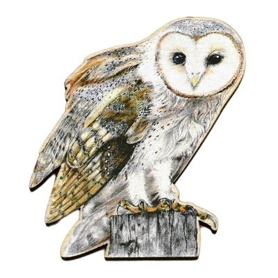 Lesní svět Magnet tvar Sova pálená – Zbozi.Blesk.cz