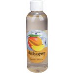ShishaSyrup Melasa Ledové mango 100 ml – Zboží Mobilmania