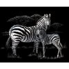 Škrábací  obrázek Royal & Langnickel Stříbrný škrabací obrázek Zebra s mládětem