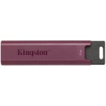 Kingston DataTraveler Max 1TB DTMAXA/1TB – Zboží Živě